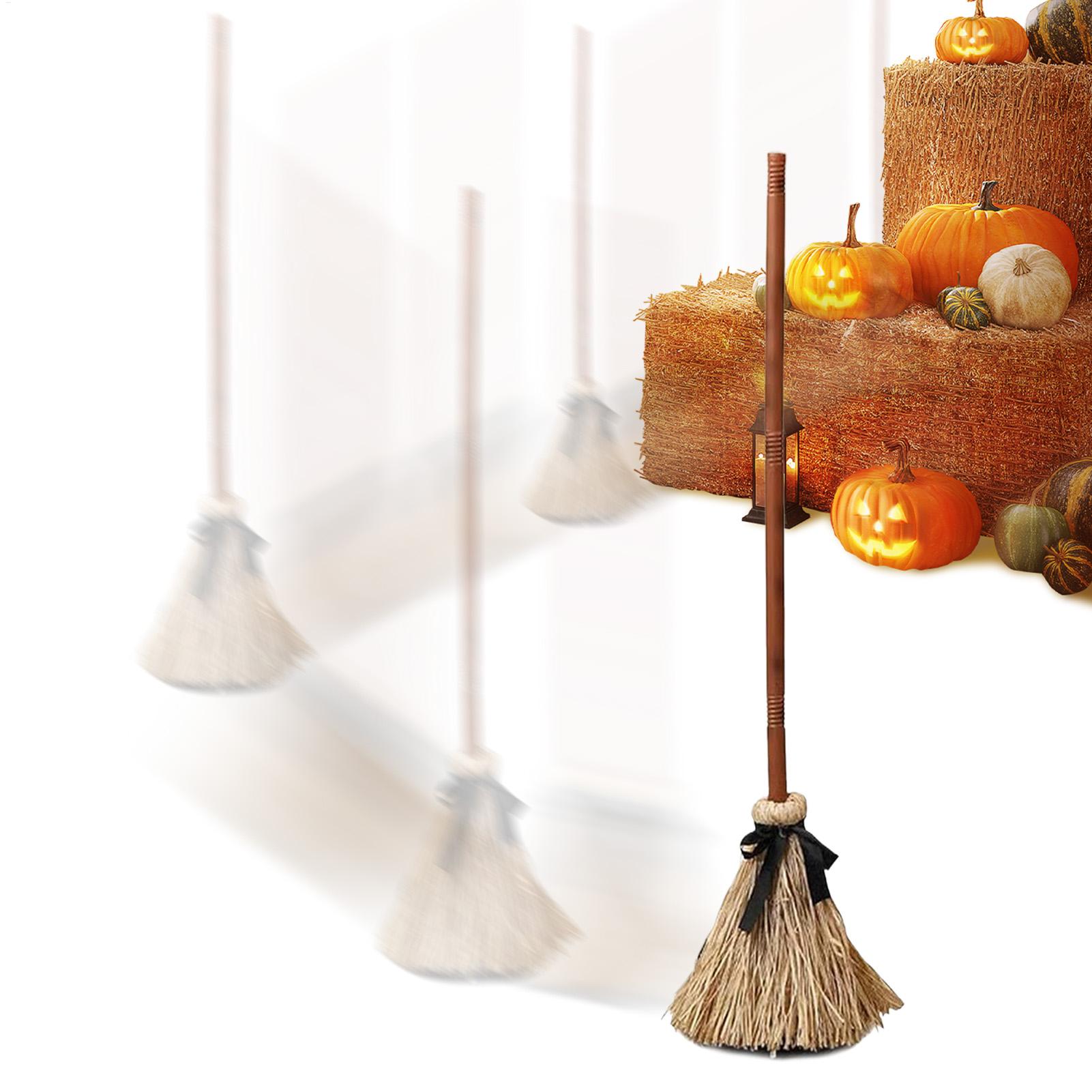 Witch Broom Battery Powered Fu - đánh giá và giá Outdoor Power Broom