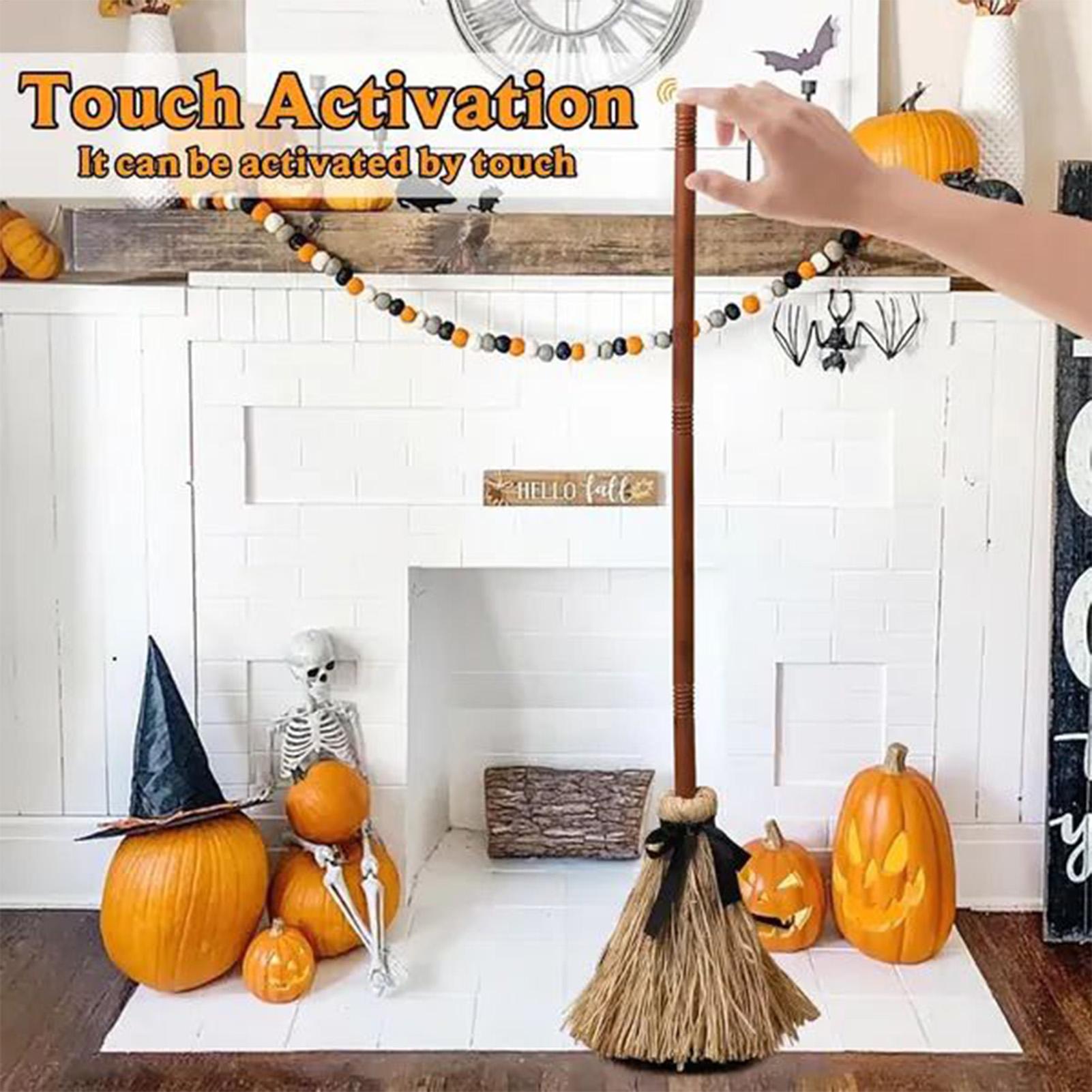 Witch Broom Battery Powered Fu - đánh giá và giá Outdoor Power Broom