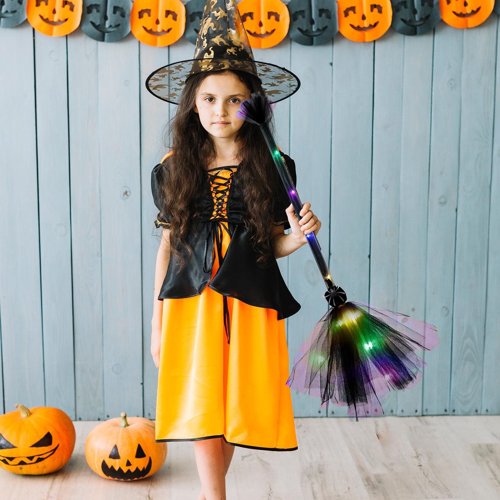 Witches Broom Mesh Battery Pow - đánh giá và giá Outdoor Power Broom